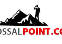 Colossal Point LLC